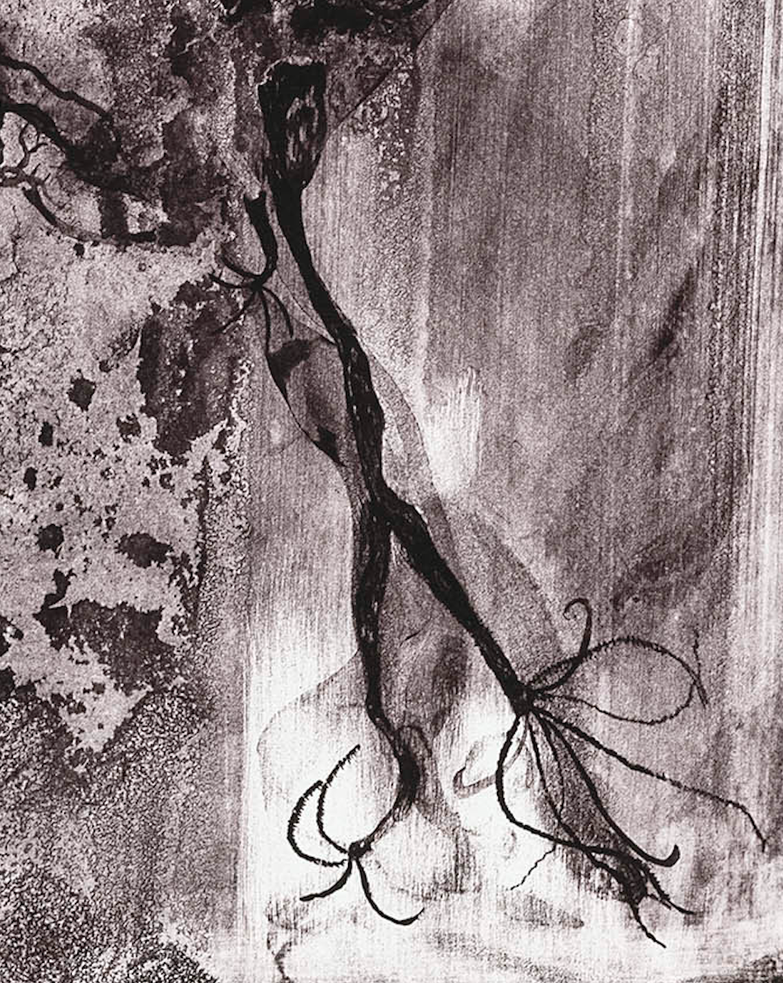 Photo 4 of Aether - Lithograph
