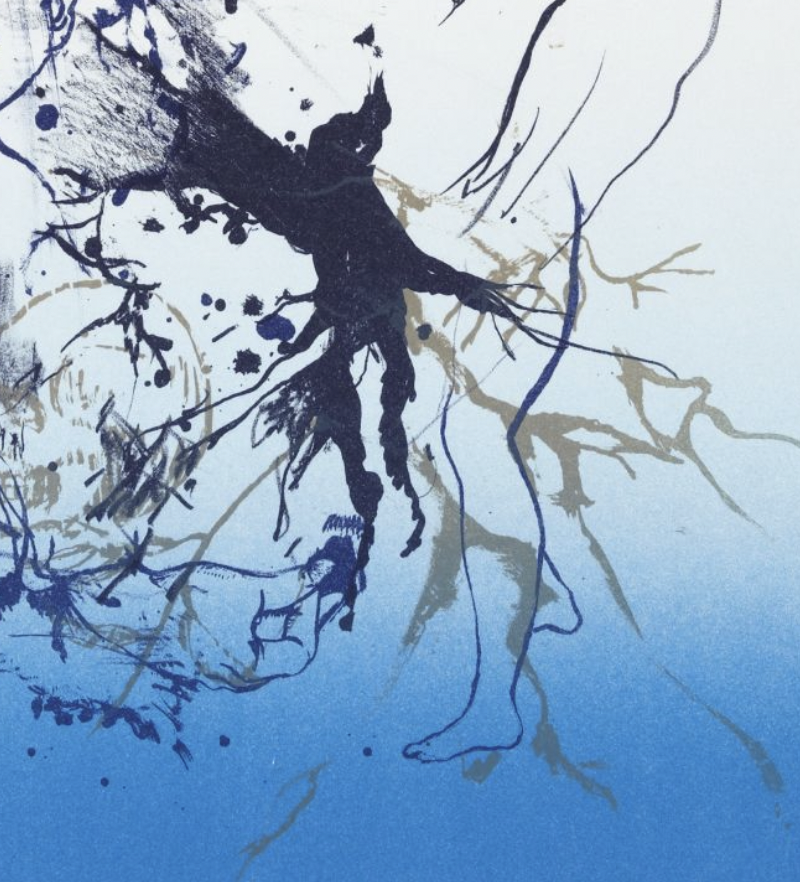 Photo 3 of The Secret Language (Blue) - Lithograph