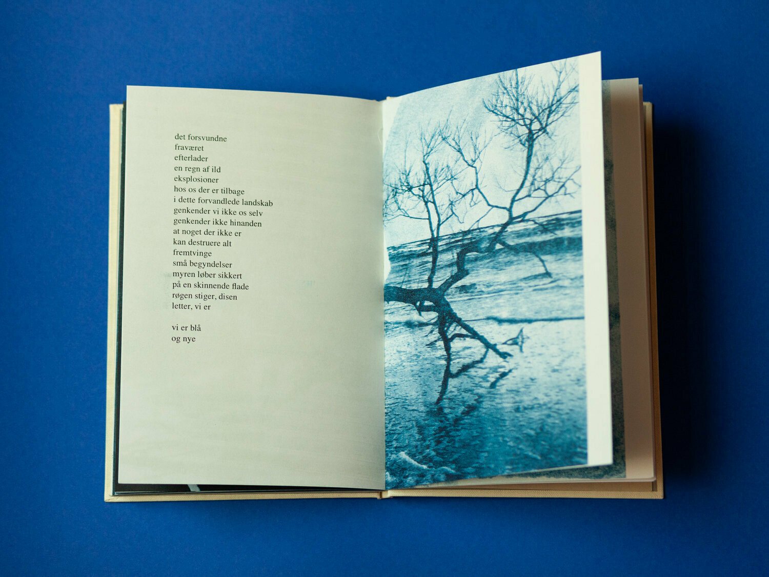 Photo 6 of Blå Spor - Handmade Book