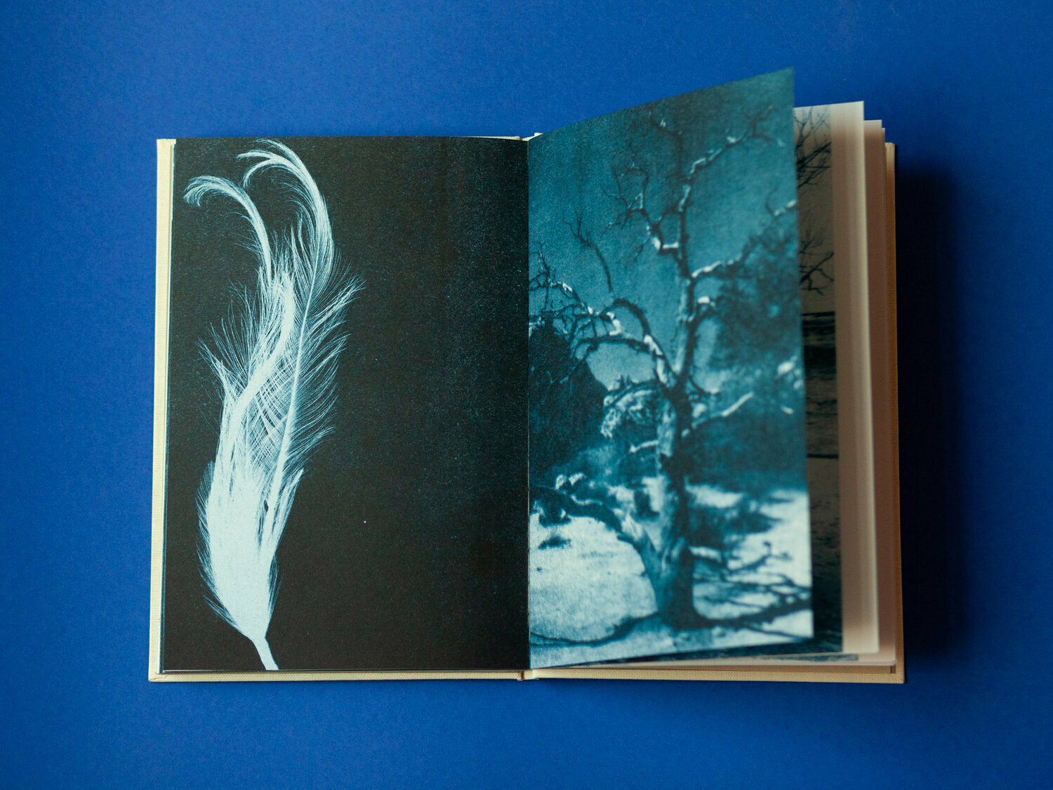 Photo 5 of Blå Spor - Handmade Book