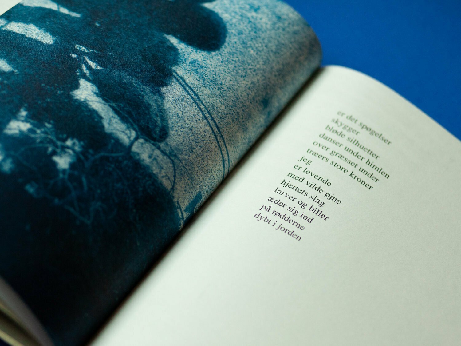 Photo 4 of Blå Spor - Handmade Book