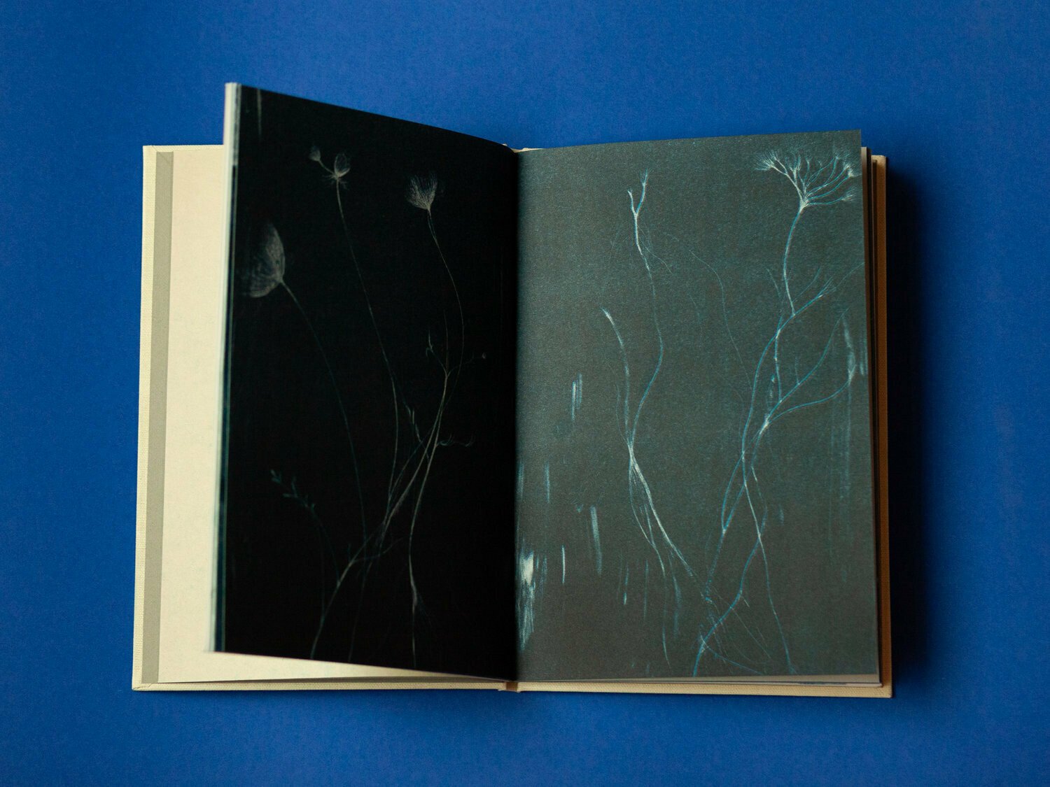 Photo 7 of Blå Spor - Handmade Book