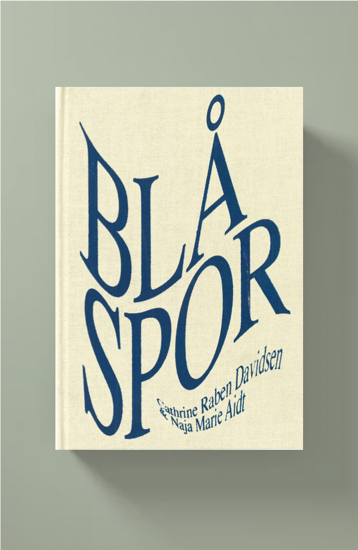Photo 2 of Blå Spor - Handmade Book