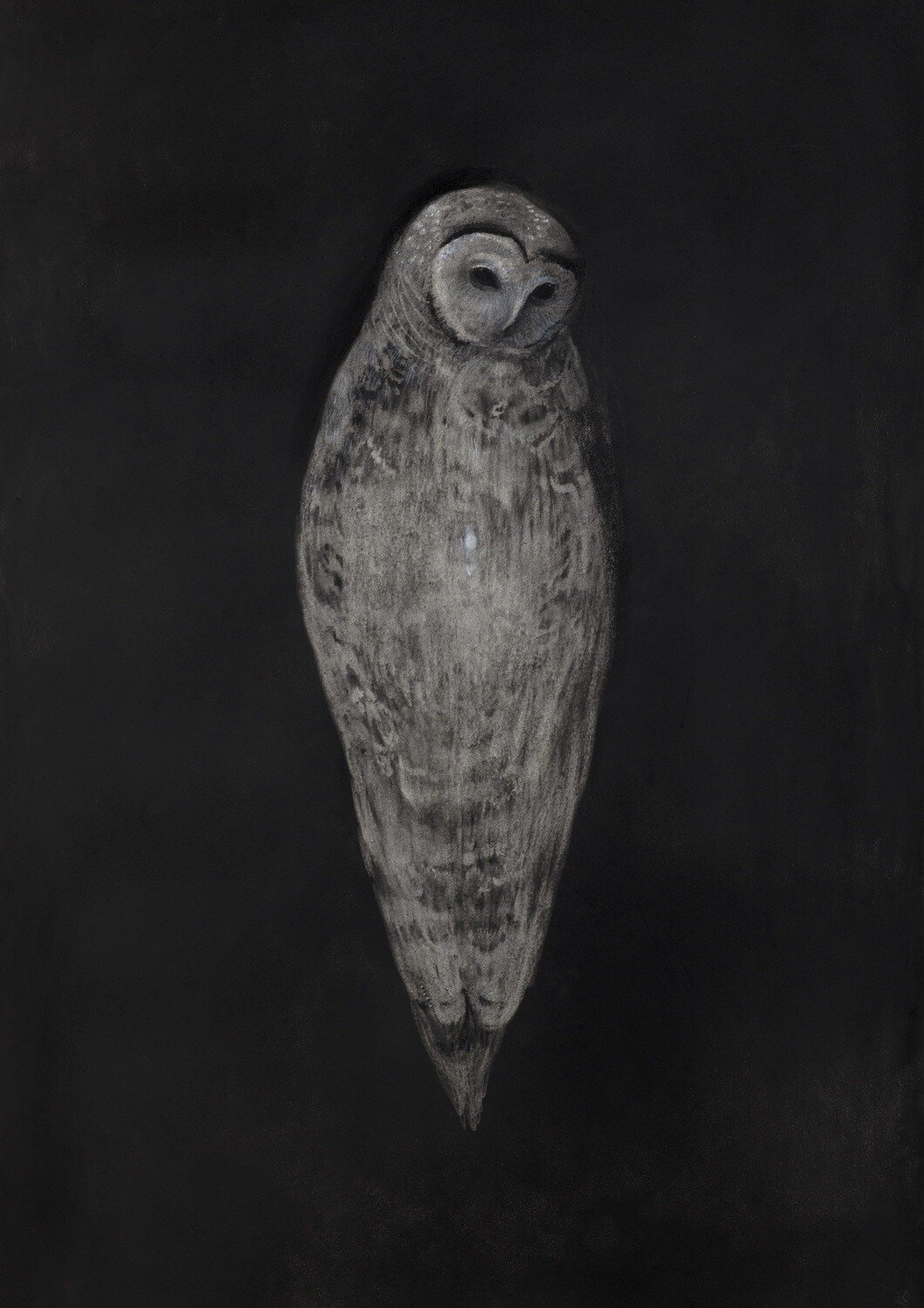 Photo 9 of ORAKEL - Poster Book