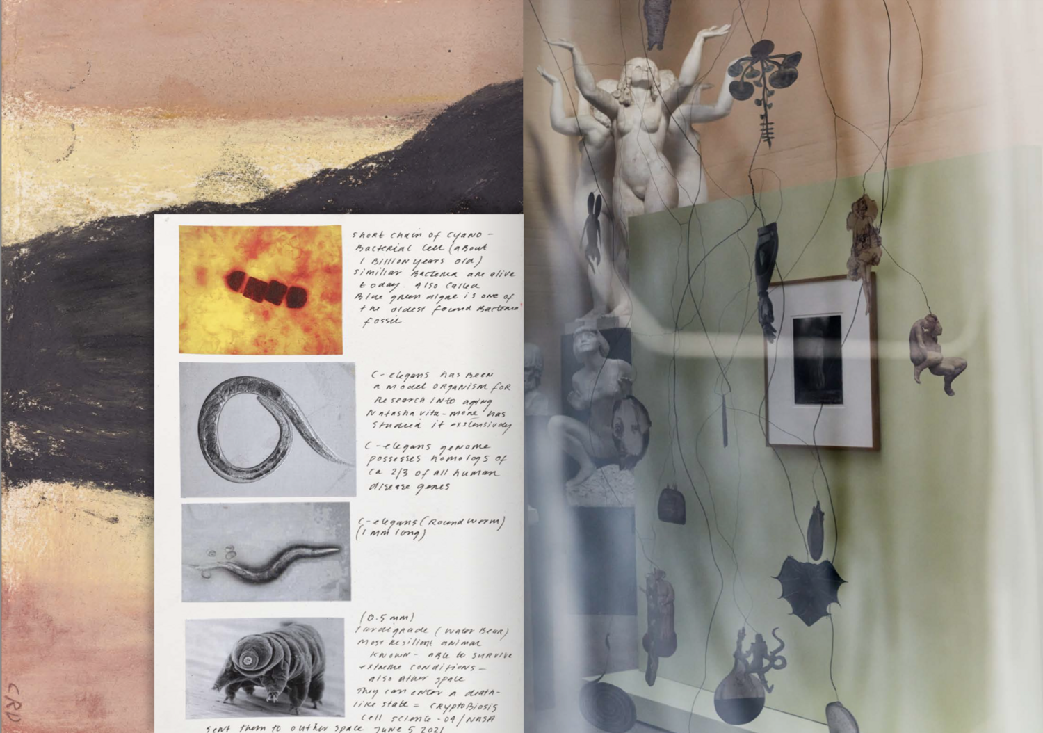Photo 6 of ORAKEL - Poster Book
