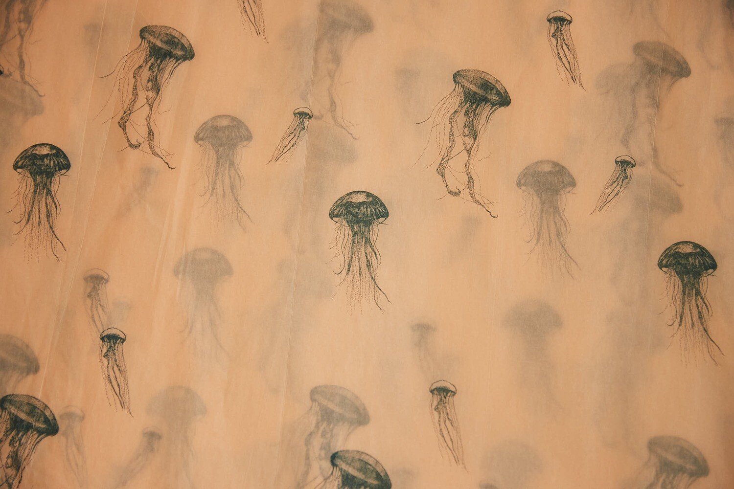 Photo 2 of Sea Jelly Silk Paper - 20 Sheets of 50 x 70 cm