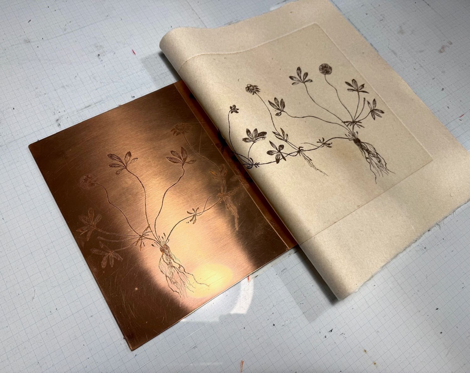 Photo 2 of Wild Flower (Yellow)- Etching