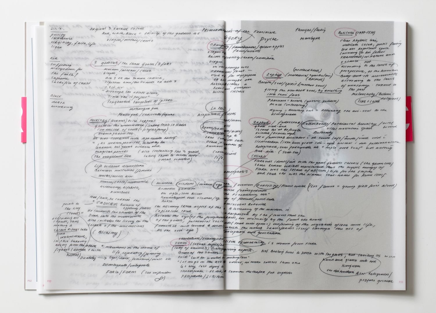 Photo 3 of Penelopes Web - Book