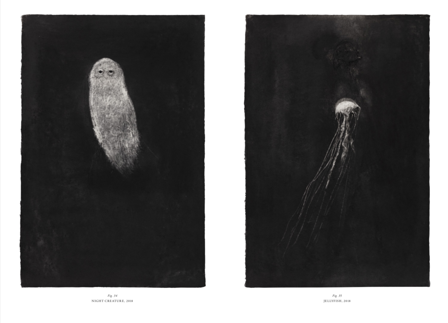 Photo 4 of Totem - Book / Hardcover
