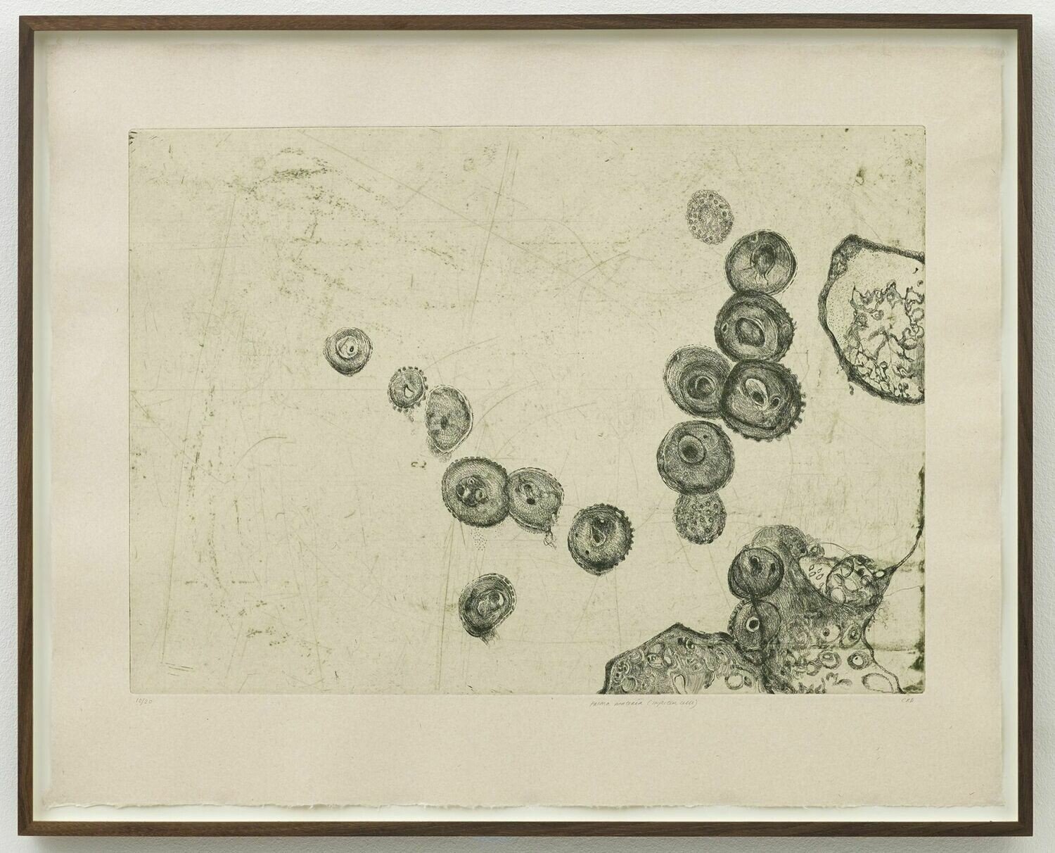 Photo 3 of Prima Materia (Infected Cells) - Etching