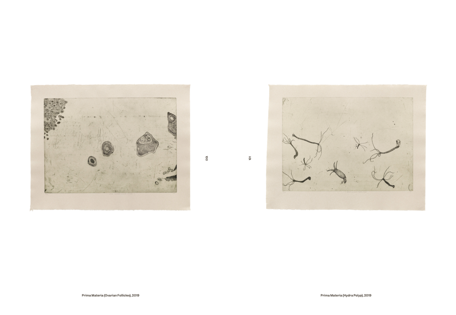 Photo 6 of Grafik 1998-2022 - Book (English)