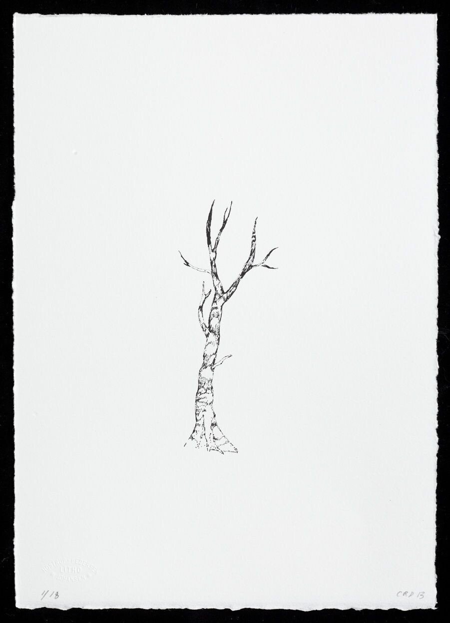 Photo 3 of Trickster (No 2) - Lithograph