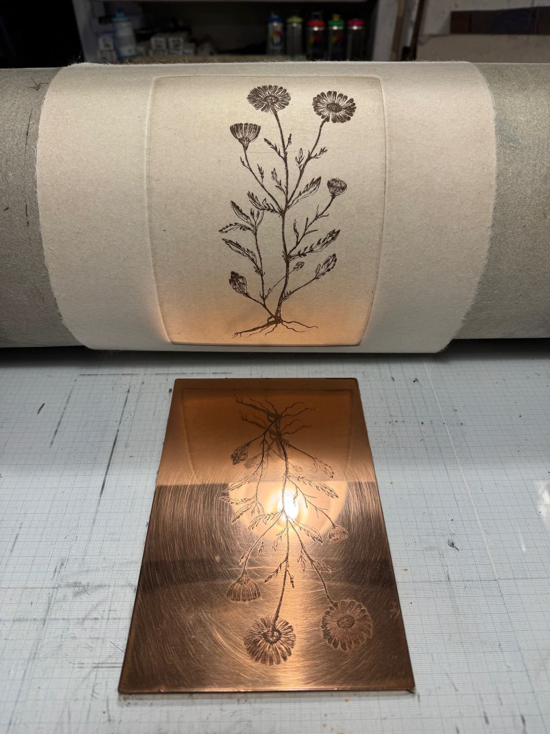 Photo 2 of Marguerite Daisy (I) - Etching