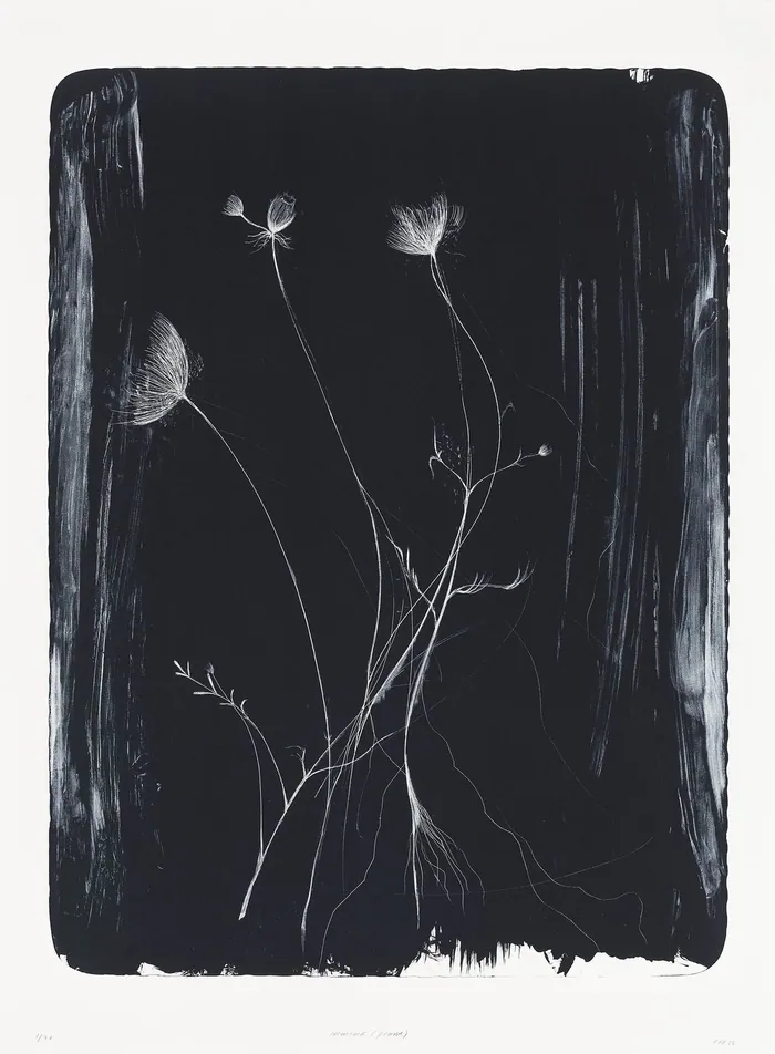 Hemlock (plant)