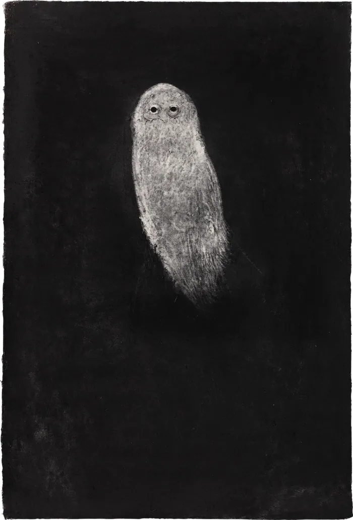 Night Creature