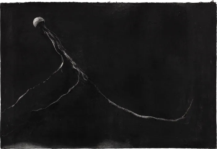 Tentacular