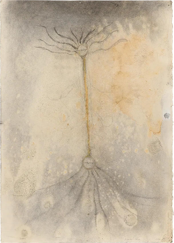 Dianas Tree