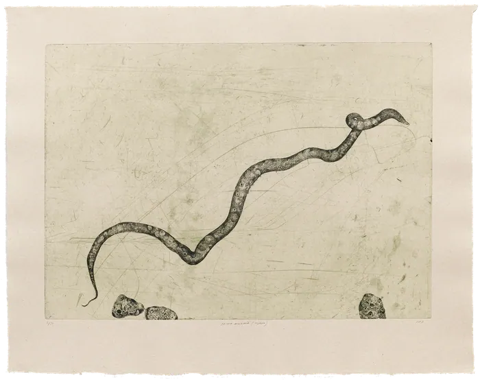 Prima Materia (Hydra)
