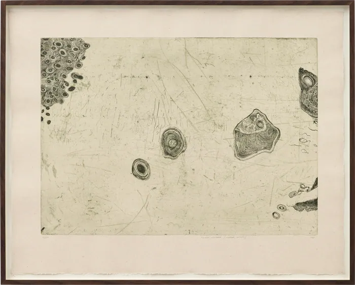 Prima Materia (Ovarian Follicles)