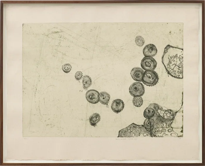 Prima Materia (Infected Cells)