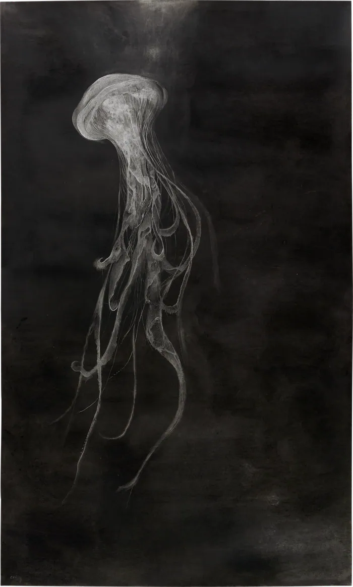 Medusa