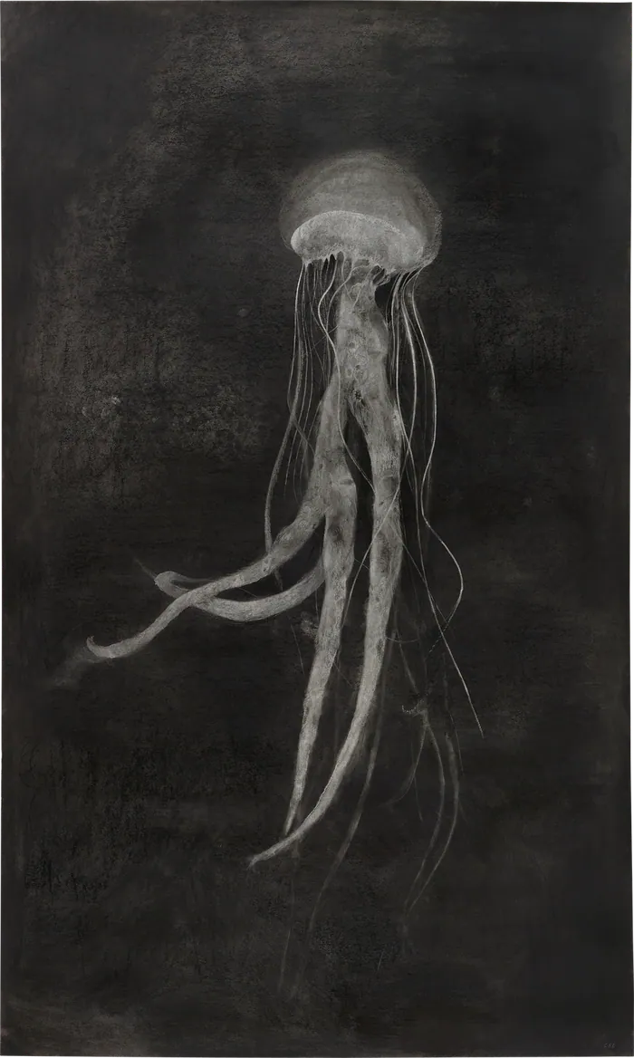 Medusa