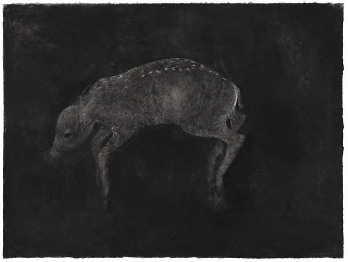 Anima Mundi
