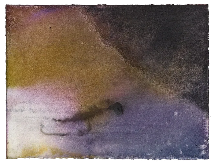Algae Figure