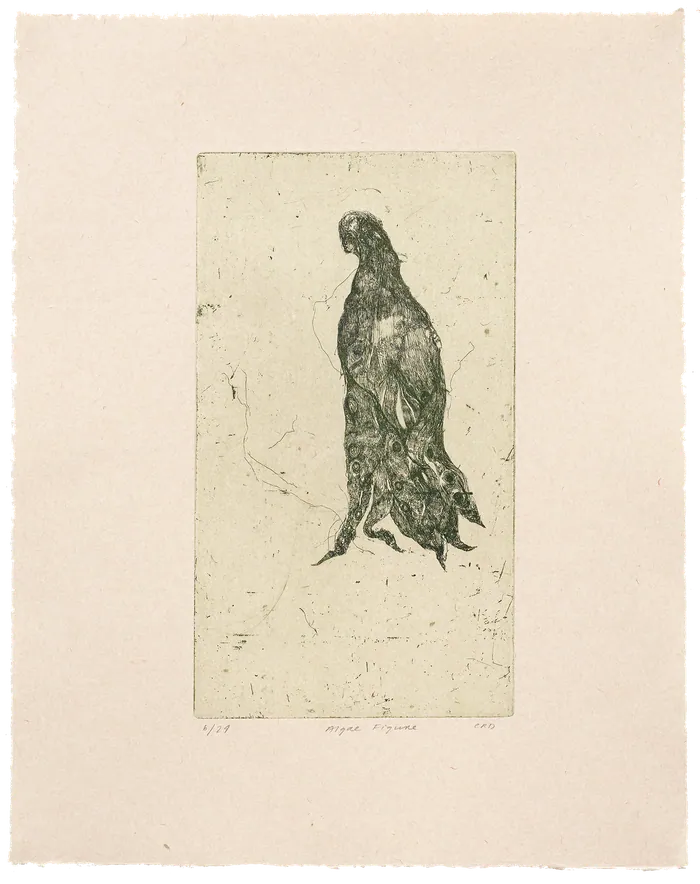 Algae Figure