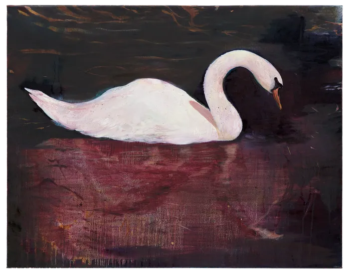 Swan