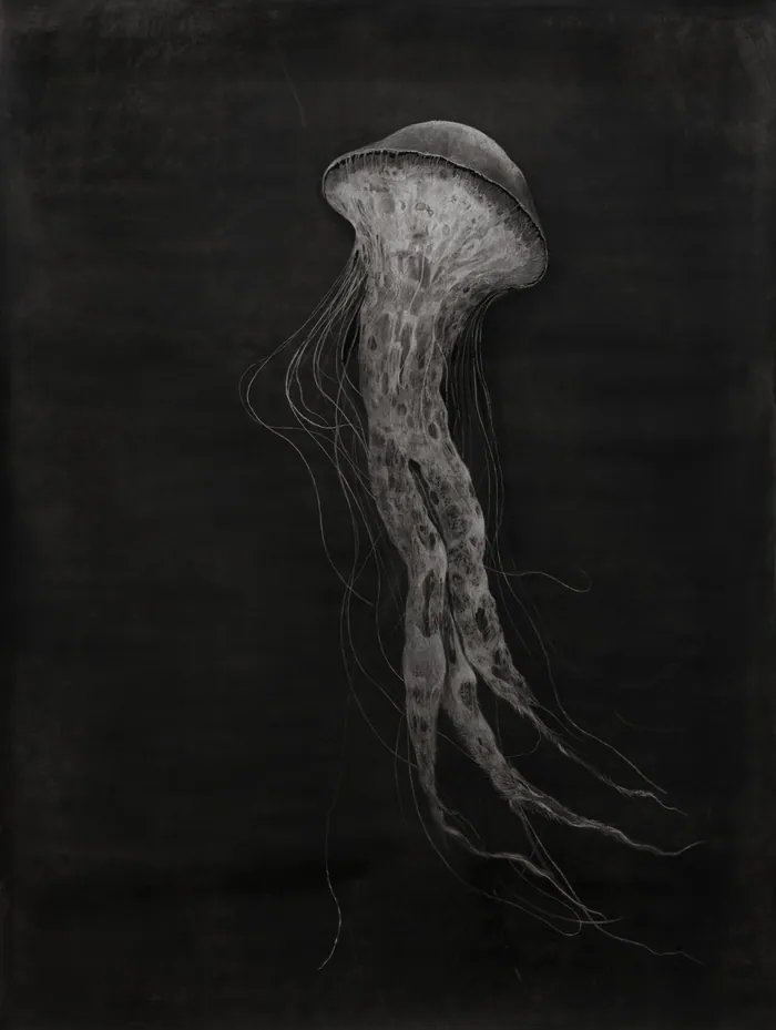 Medusa