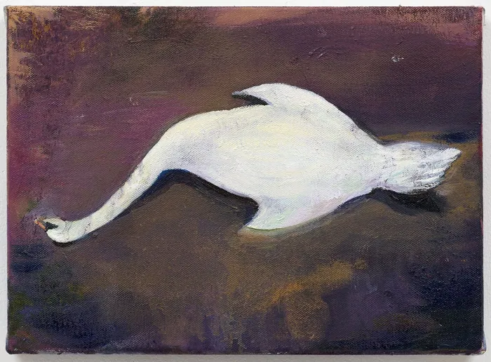 Dead Swan
