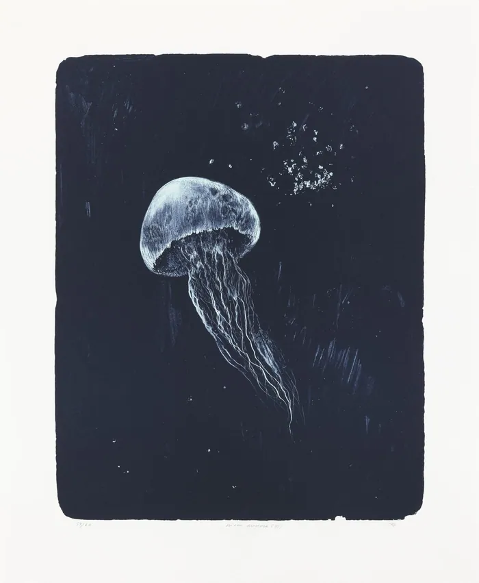 Moon Medusa (III)