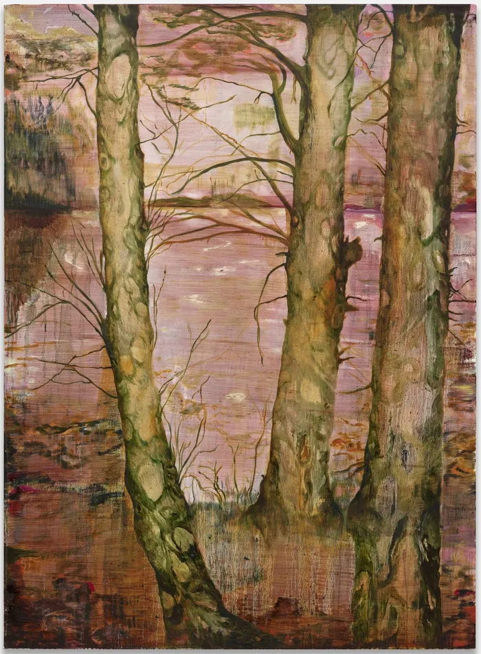 Birch Trees