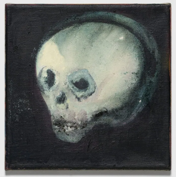 Skull of a Child