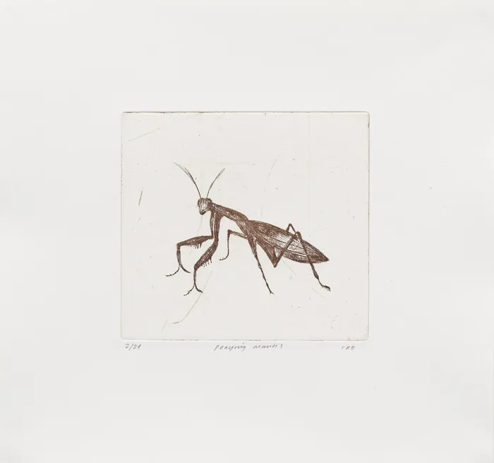 Praying Mantis