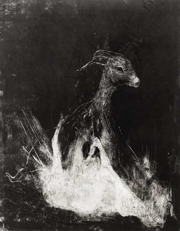 lowresAnima Mundi II copy