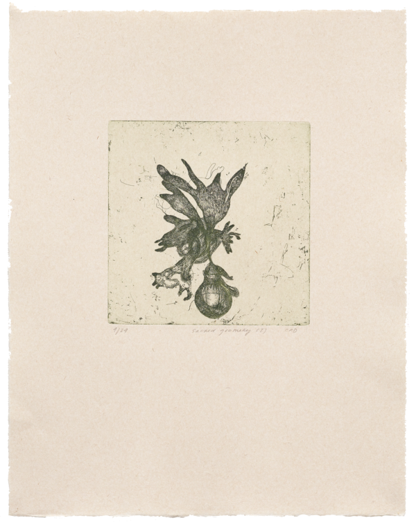CF034250