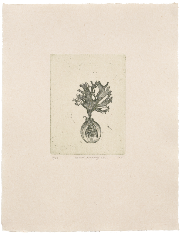 CF034252