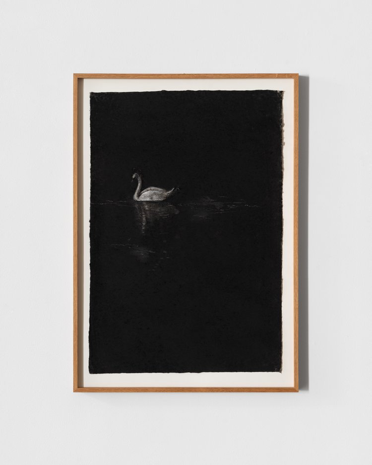 summershow2024-jacobbjorngallery-2024-photojacobfriis-holmnielsen-jfh3981-srgb-web